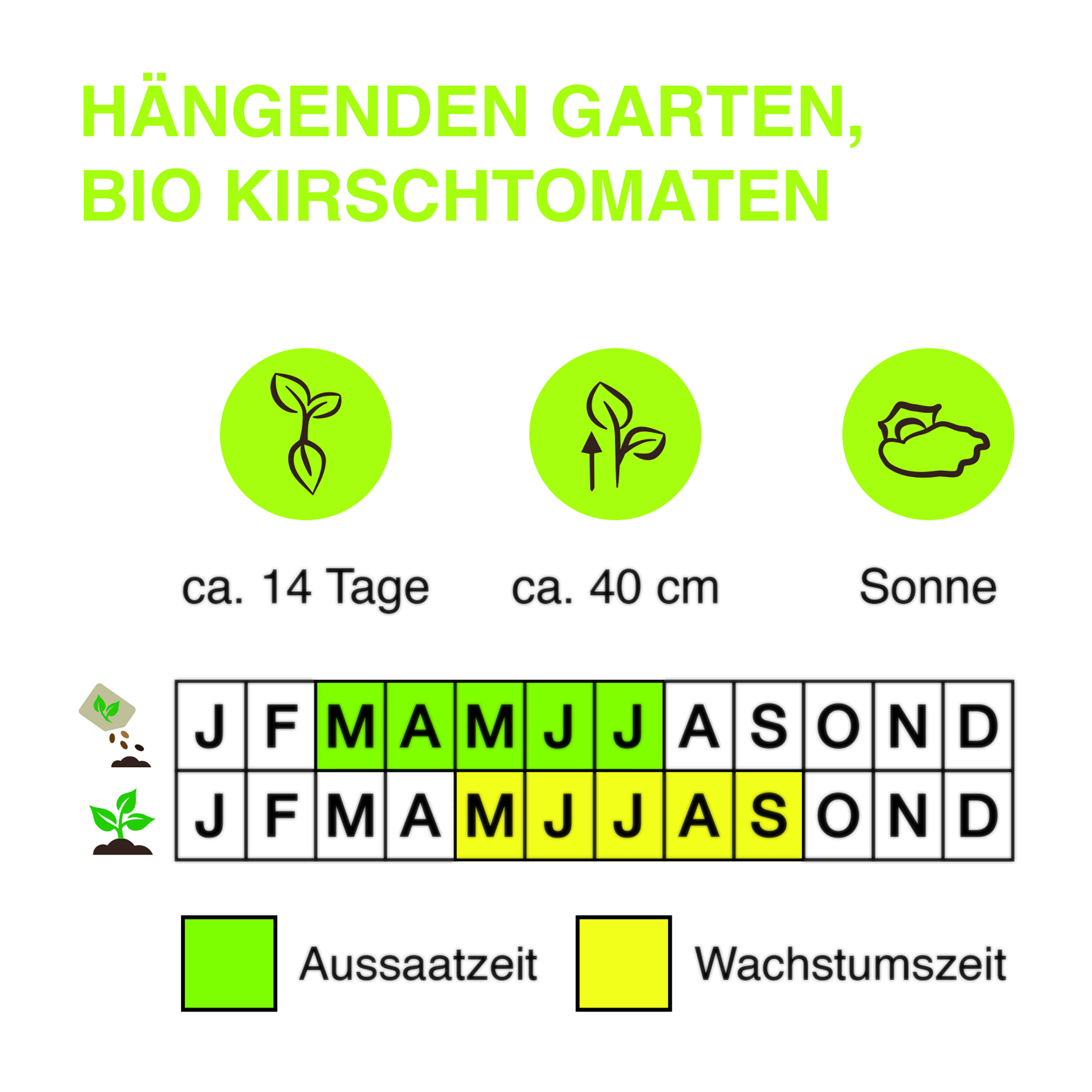 Ha-ngenden-Garten-BIO-Kirschtomaten-Kopie