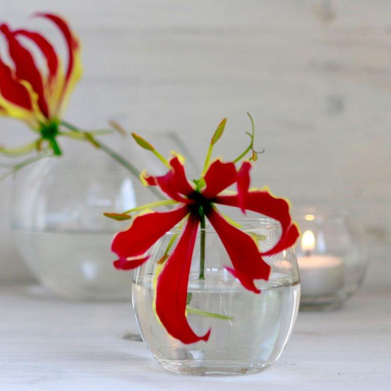 29180-29181-29182-29183-glass-ball-pot-ambience-11-Kopie