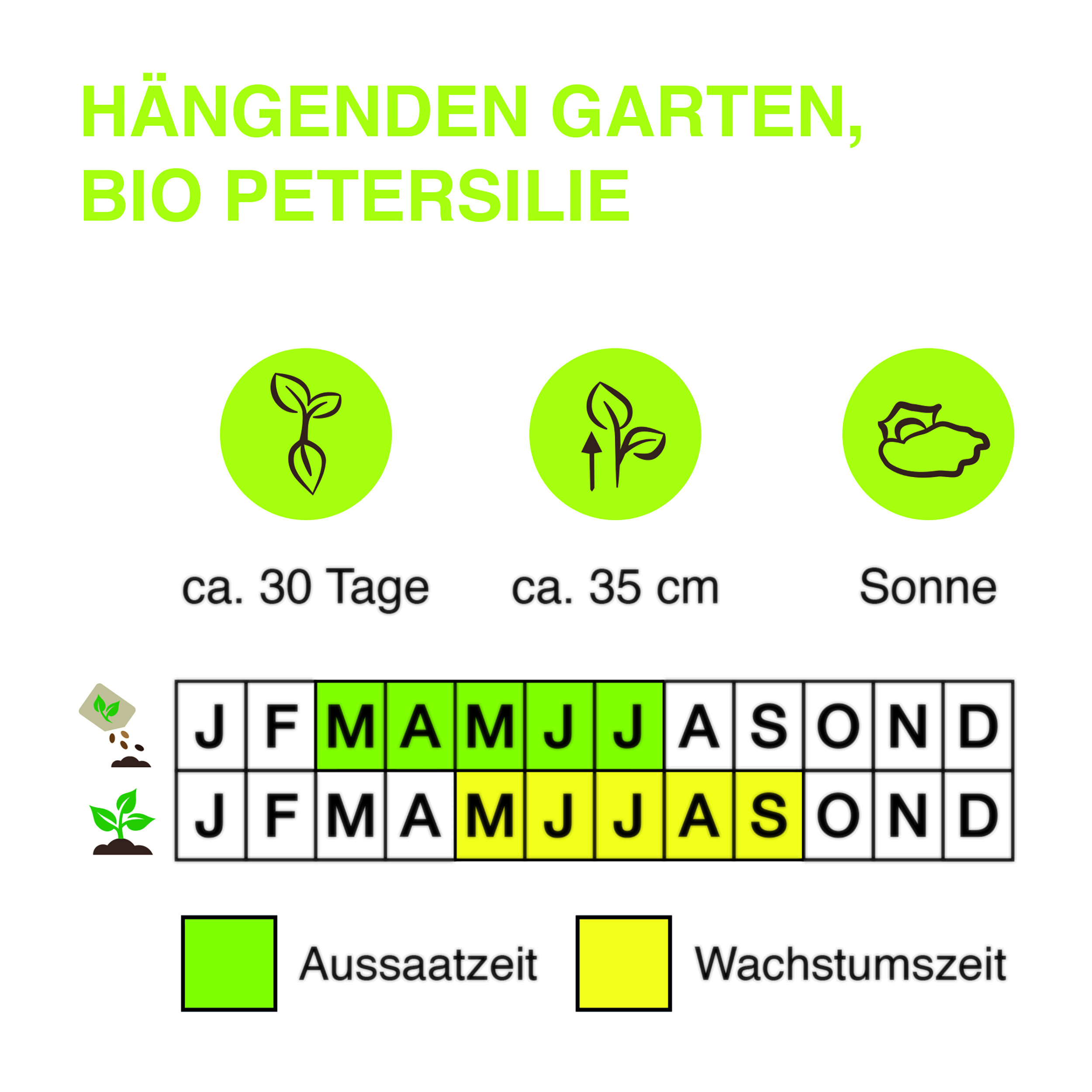 Ha-ngenden-Garten-BIO-Petersilie-Kopie