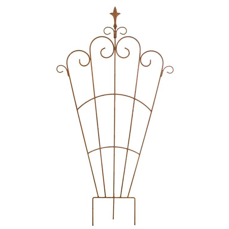 Viktoria - 78 x 150 cm