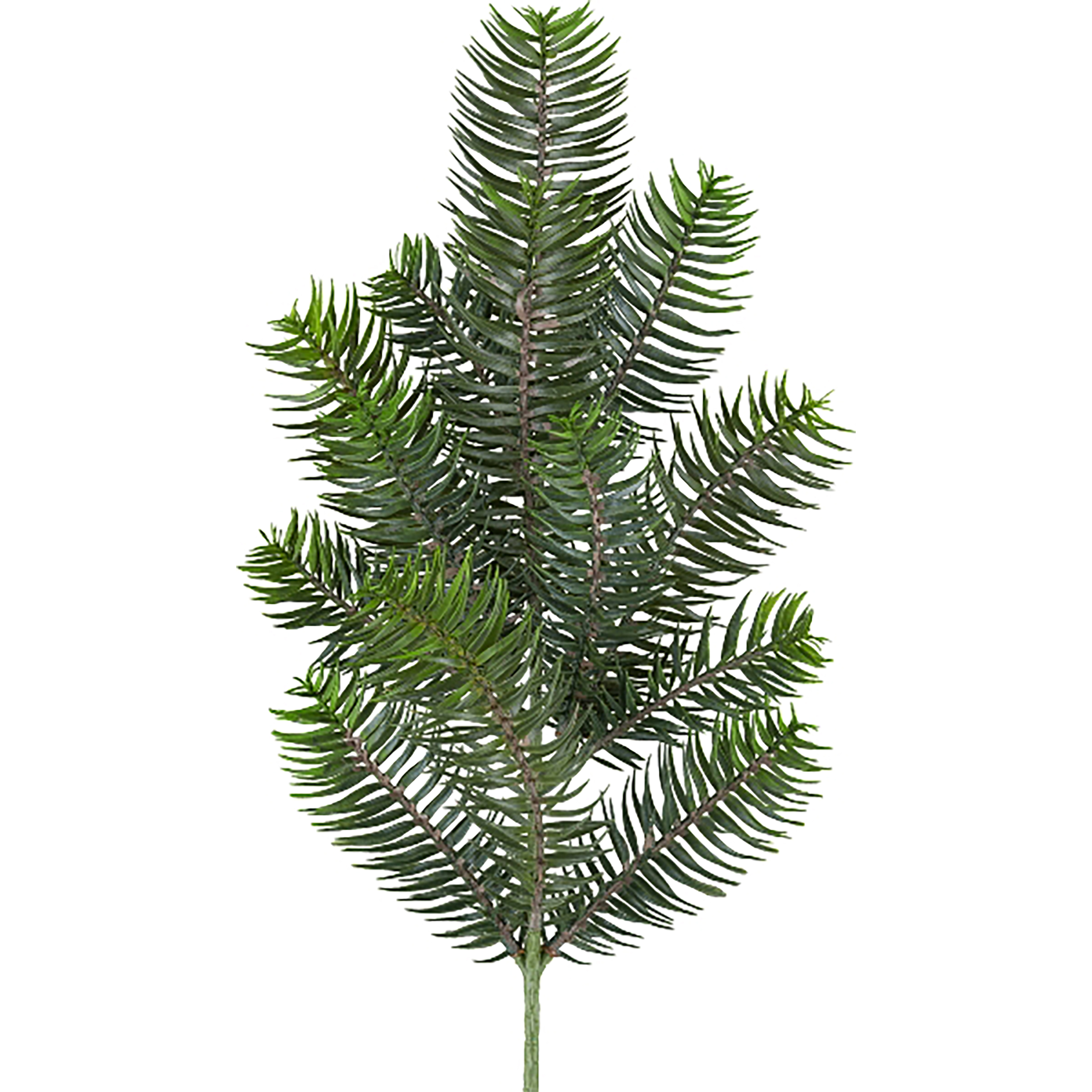 1024651-50-Ersatz-fur-304751_s-Kopie 6 x Künstliche Tannenzweige L 50 cm, naturgetreue Imitationen - 13 Triebe