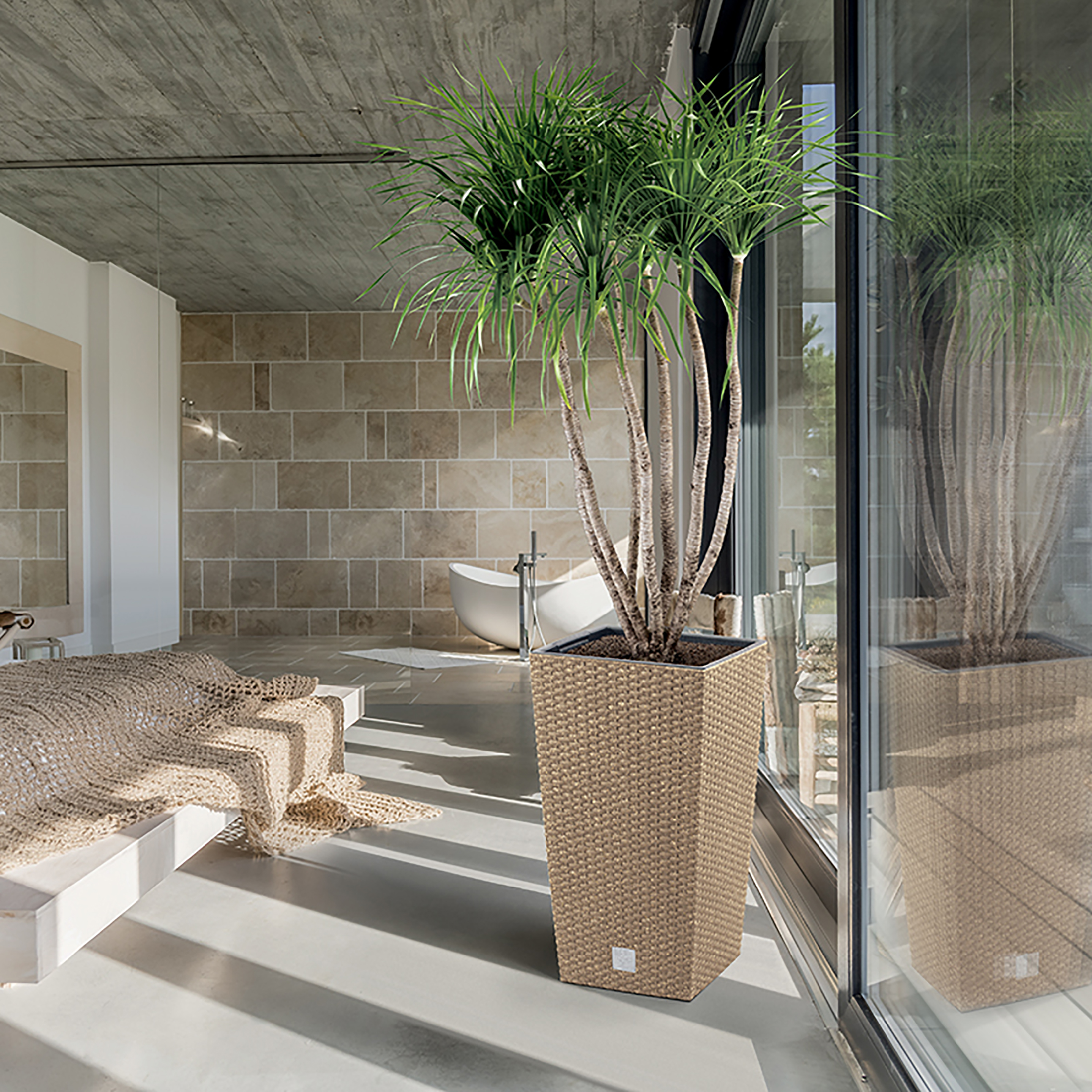 Rato_Square_Eco_Wood_DRTSW_aranz_01_m-Kopie