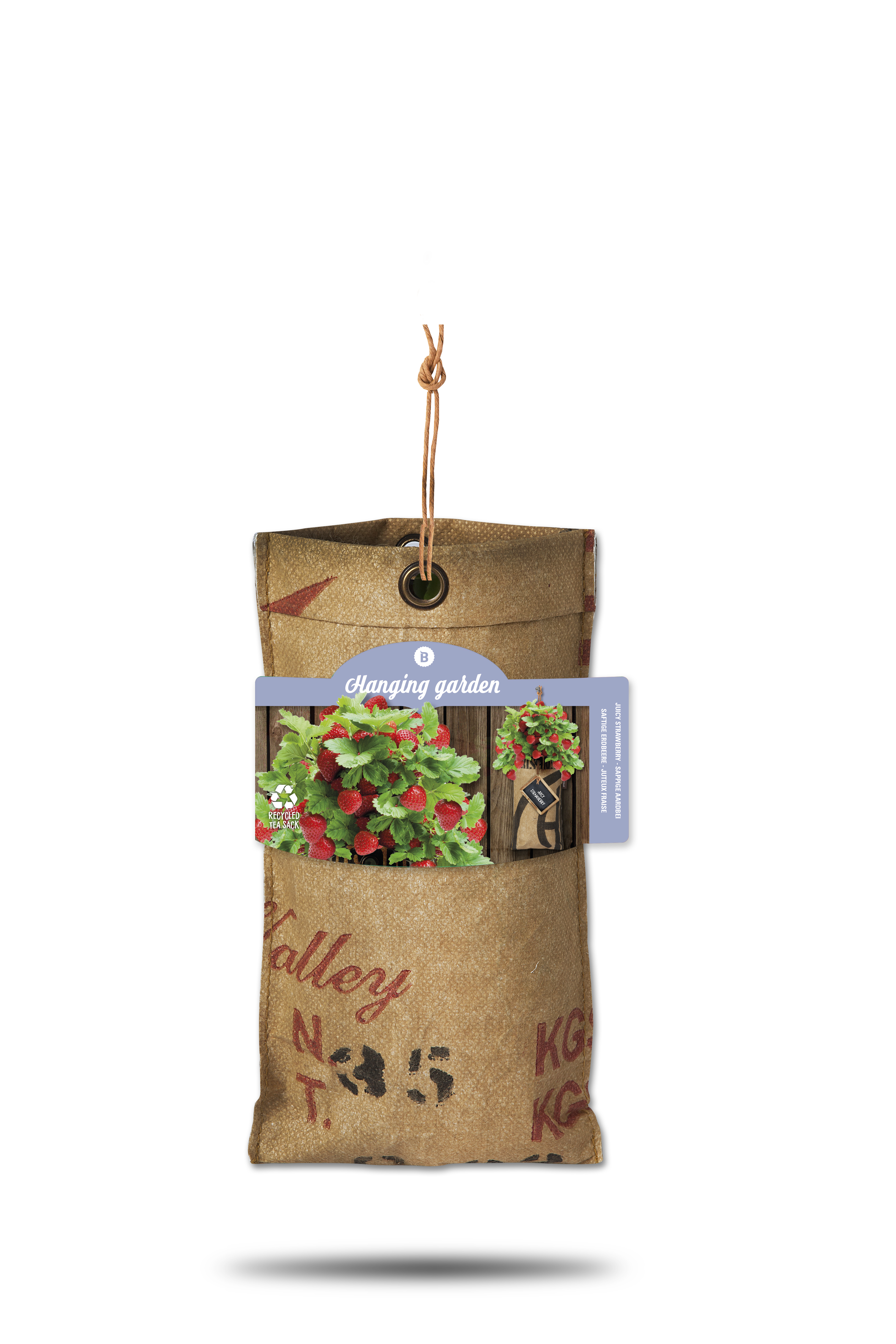 8726200270228_18027022-sappige-aardbei-label