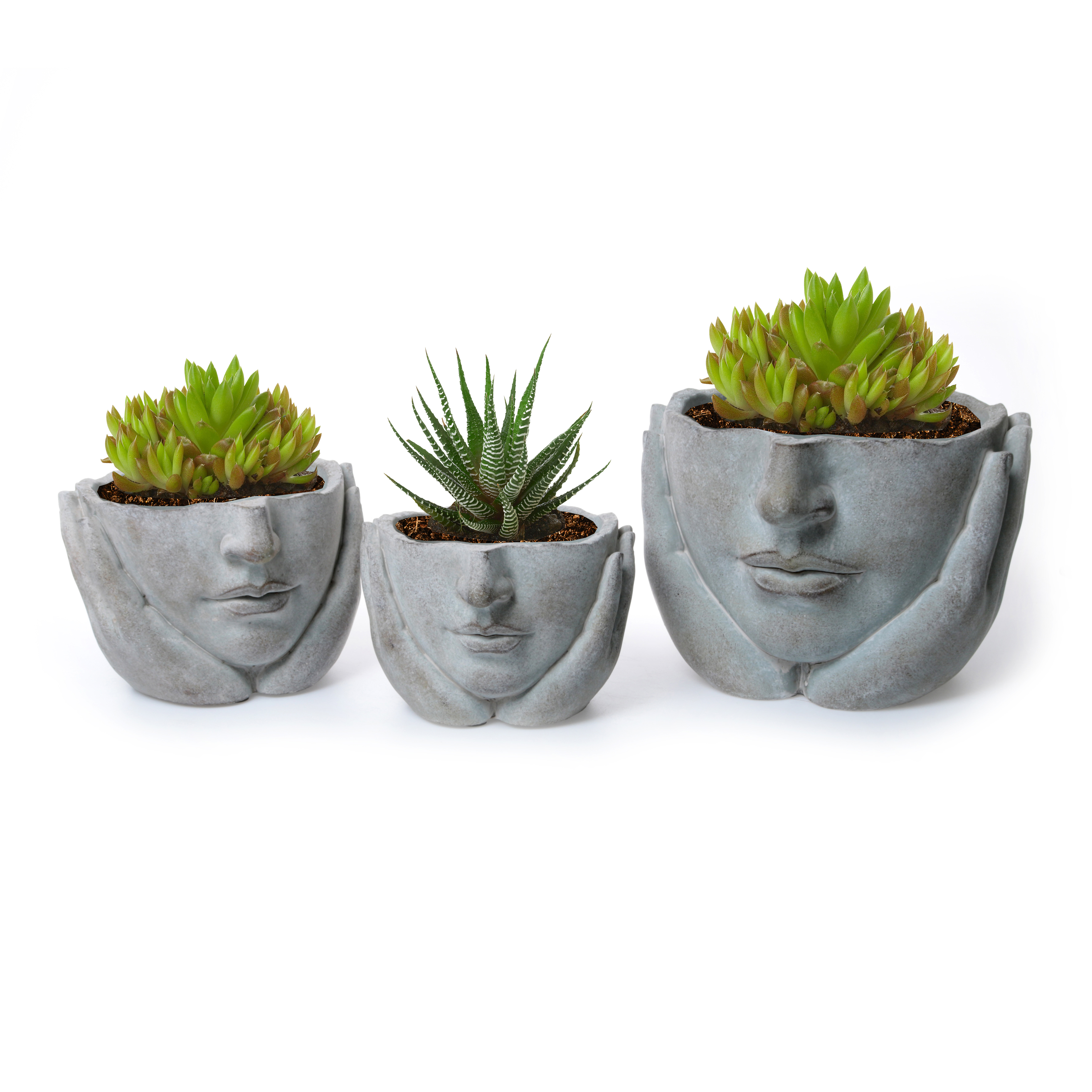 90839-mit-Blume-90840-90841