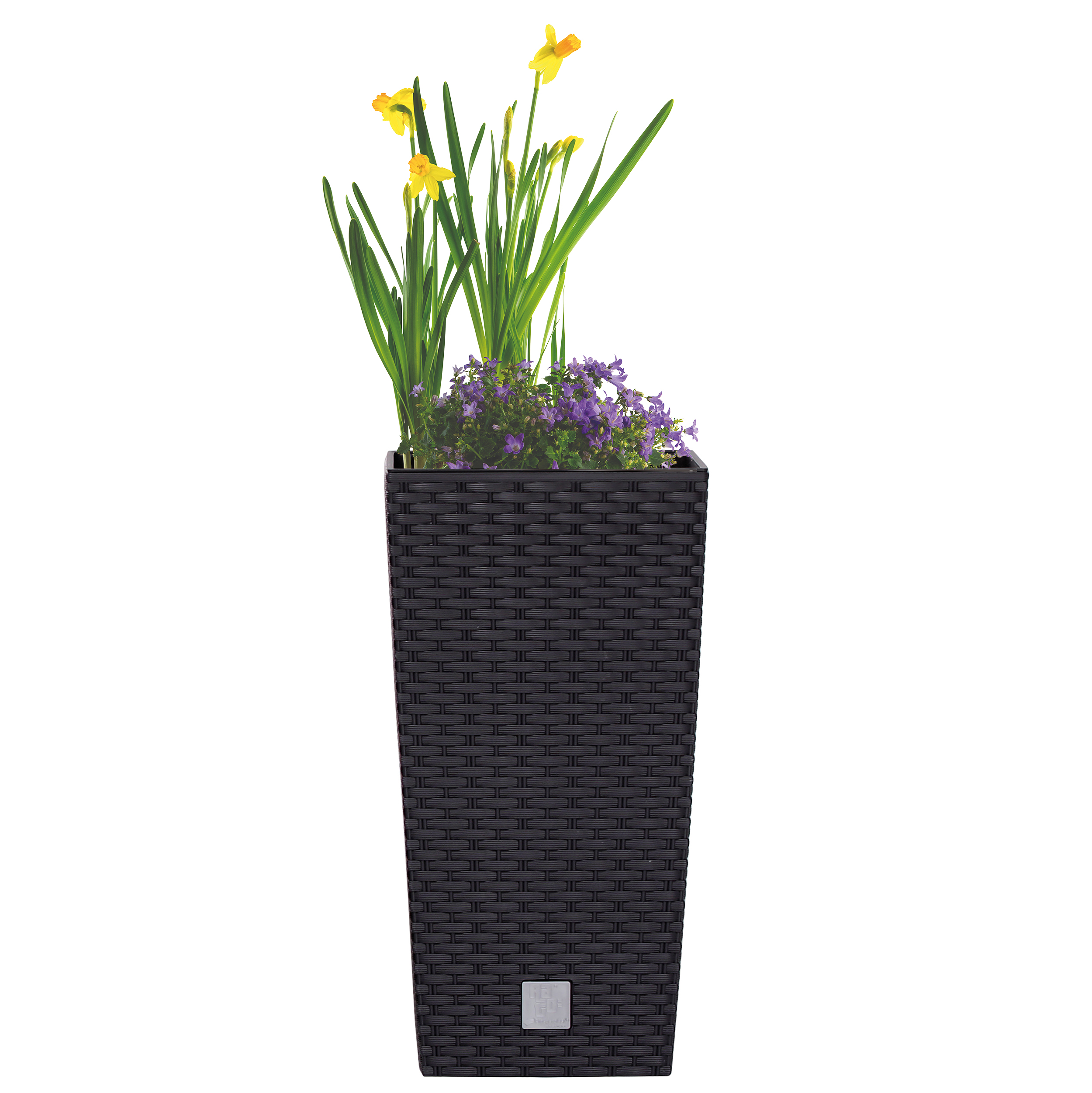 DRTS225-anthra-mit-Blume