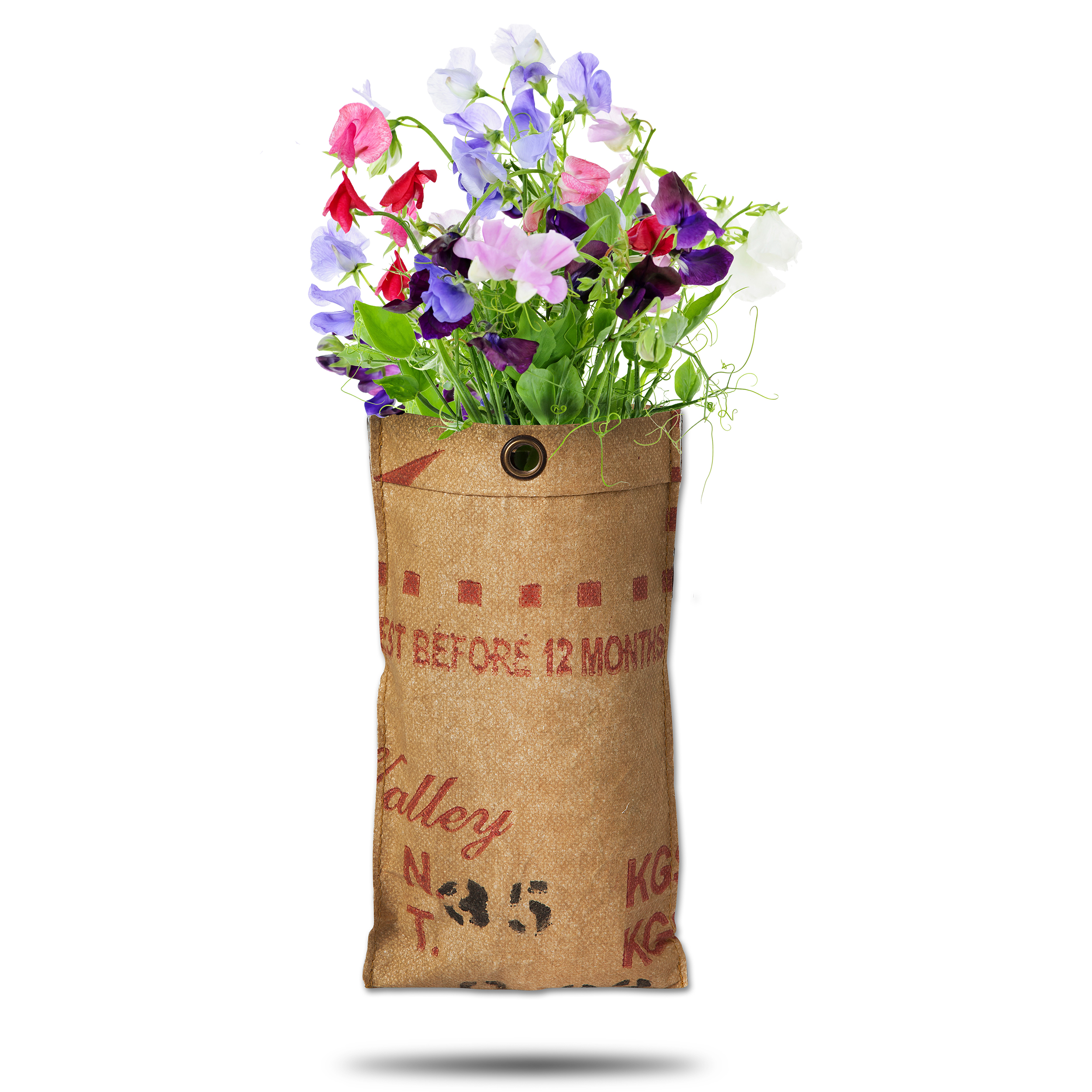 8726200171198-18017119-Hangtuin-BIO-Lathyrus-gewaseRYo94Gg3Iwdo Hängende Gärten "Lathyrus" in recyelten Teesäcken - 23 x 12 cm (H/B)
