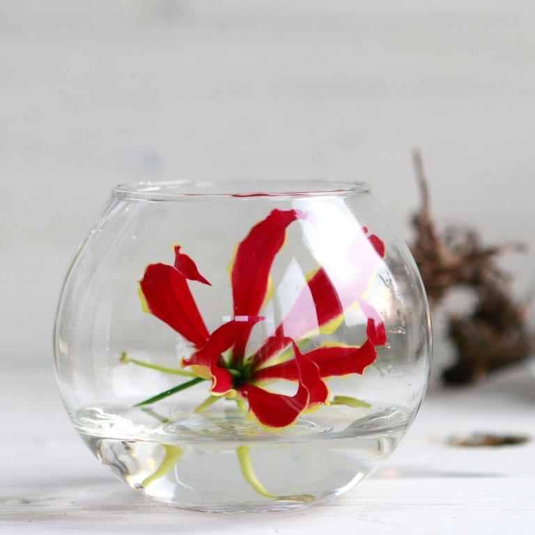 29180-29181-29182-29183-glass-ball-pot-ambience-27-Kopie