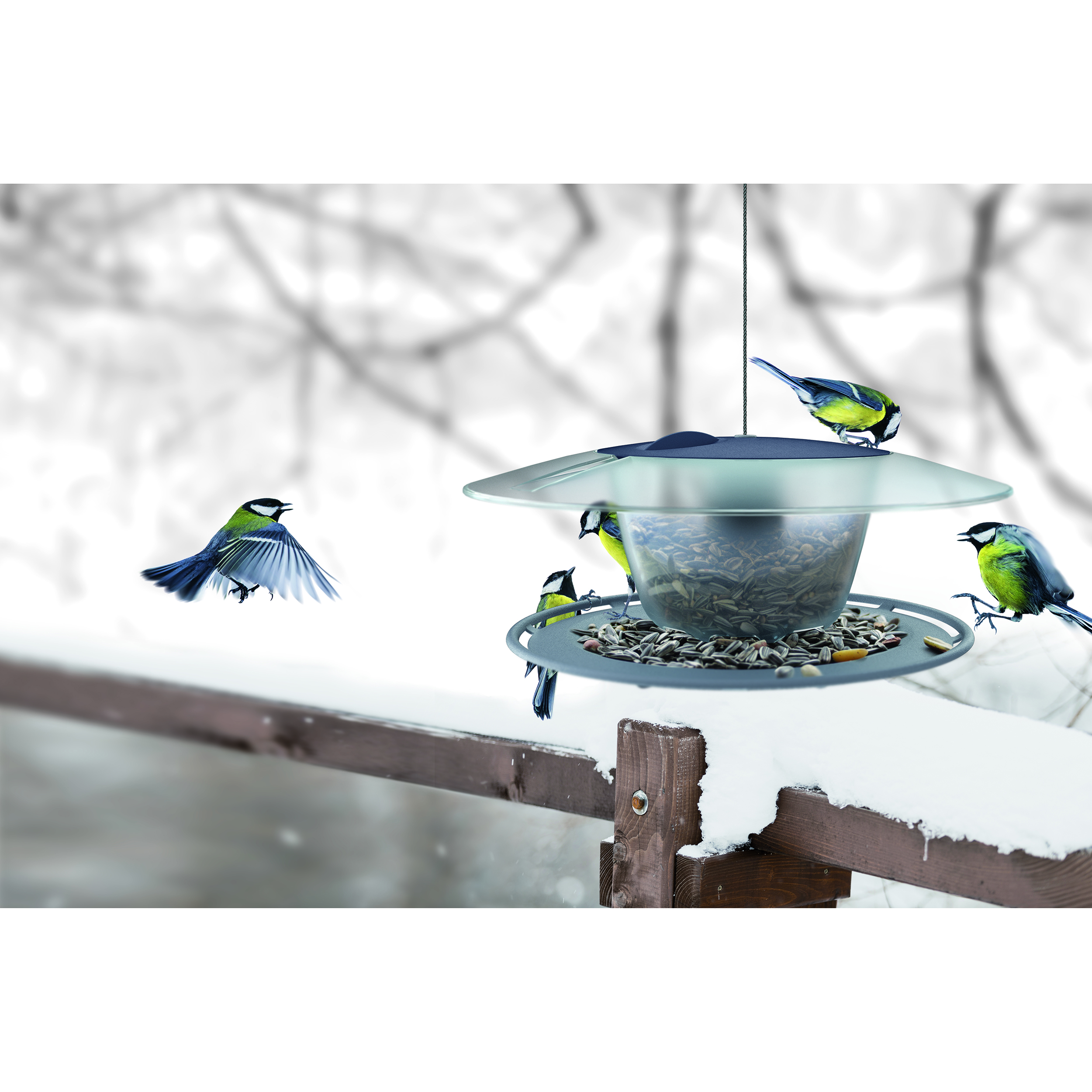 IBFR_Birdyfeed_round_aranz_02-Kopie