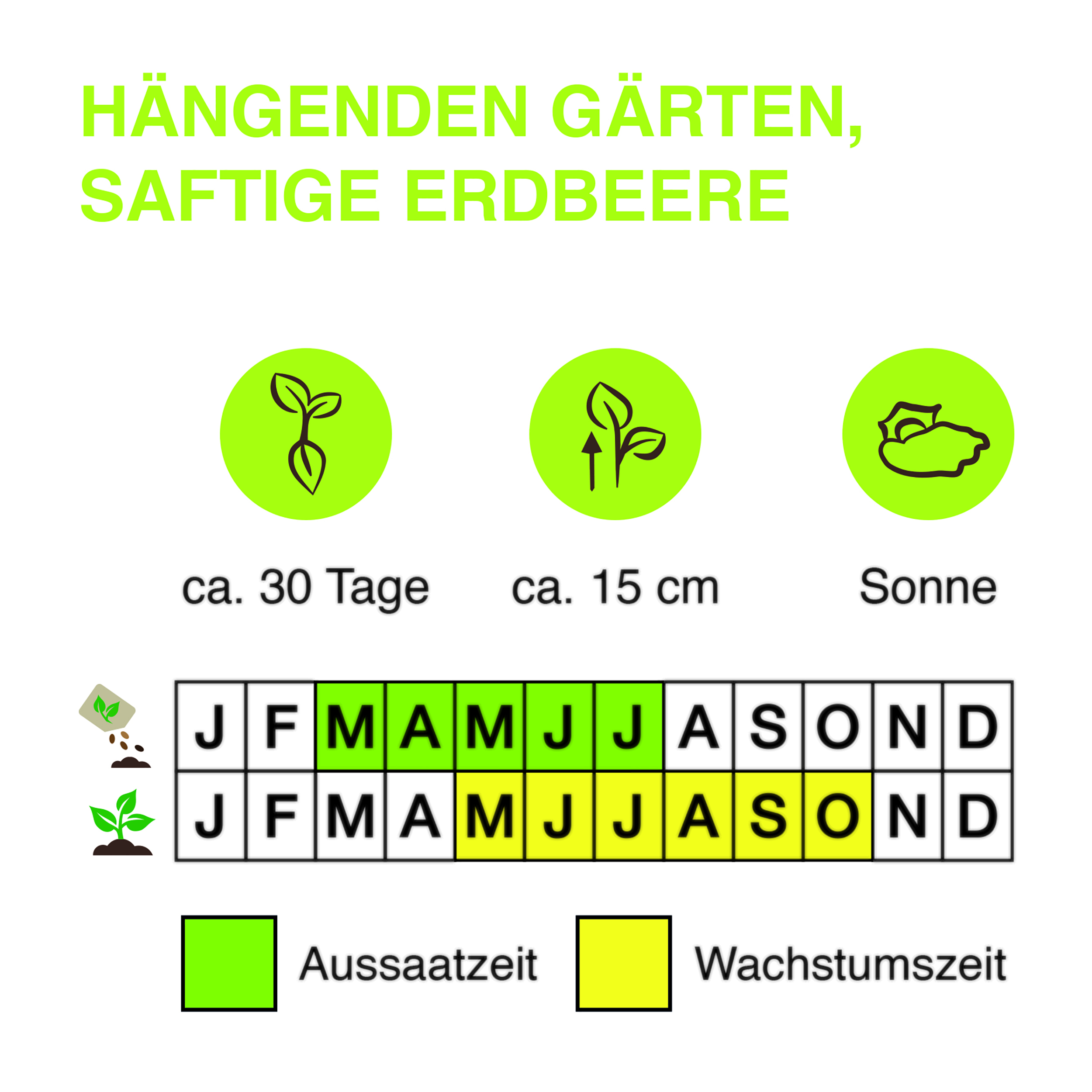 Ha-ngenden-Ga-rten-Saftige-Erdbeere-Kopie