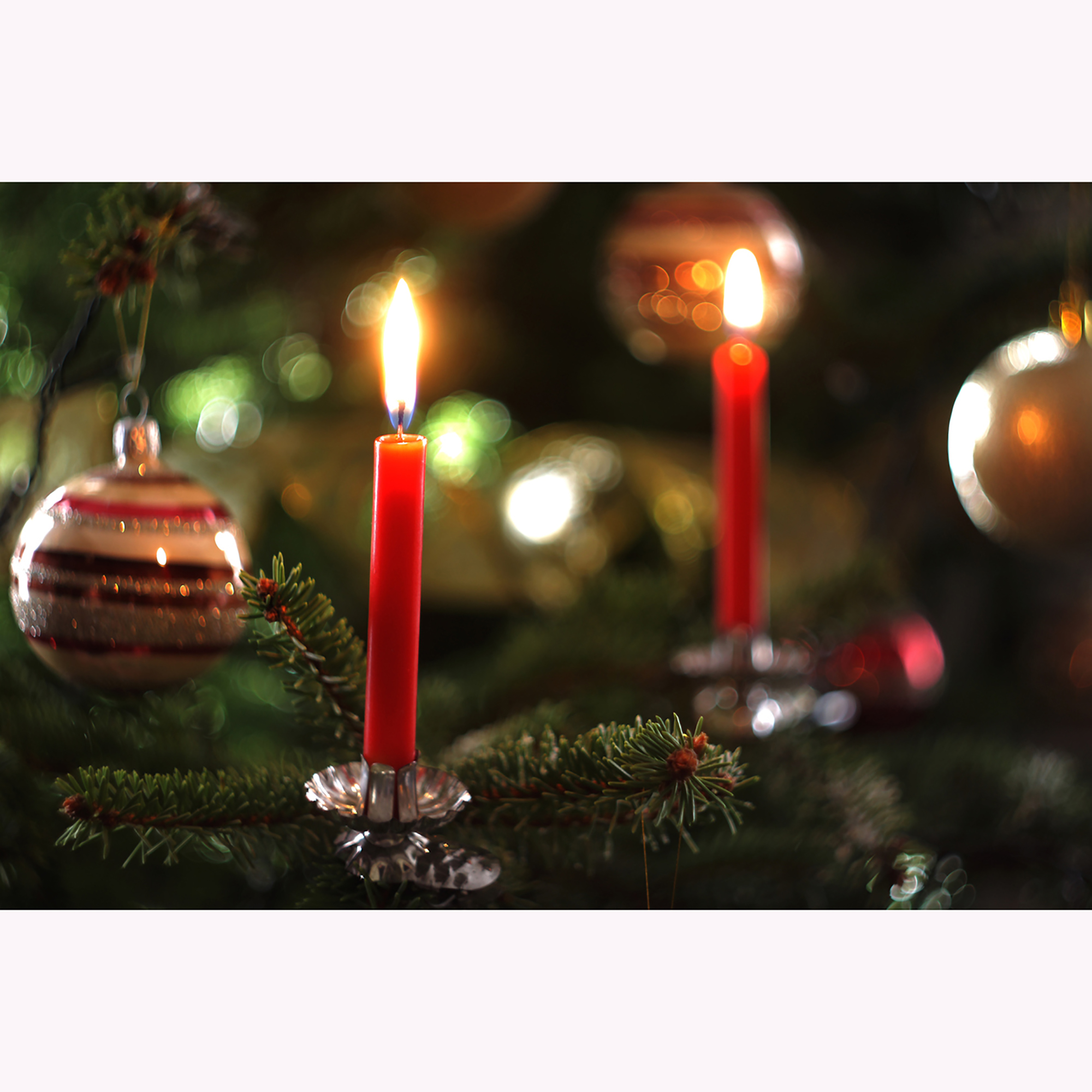 Baumkerzenhalter-KopieceIFnG4Vg4PoC Baumkerzenhalter für Weihnachtbaum Ø 40 mm