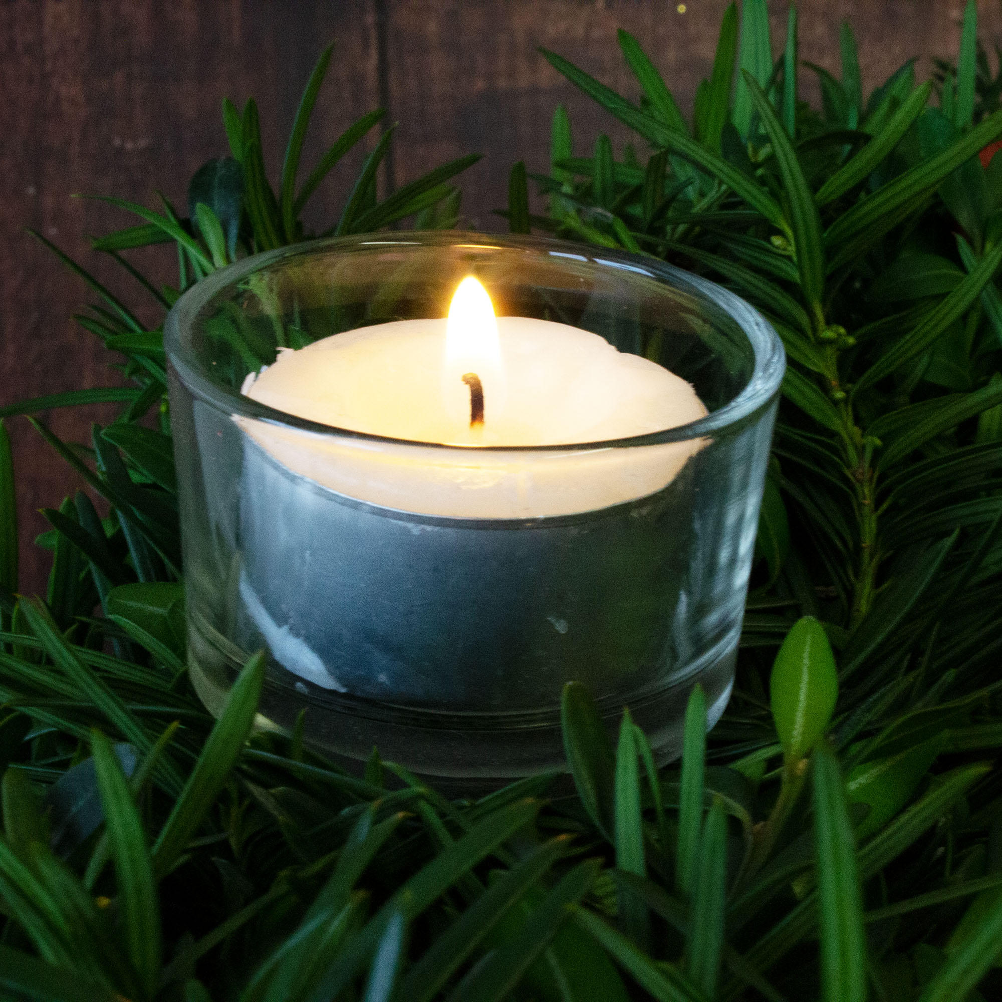 233220_Adventskranzstecker-Teelichthatler-_