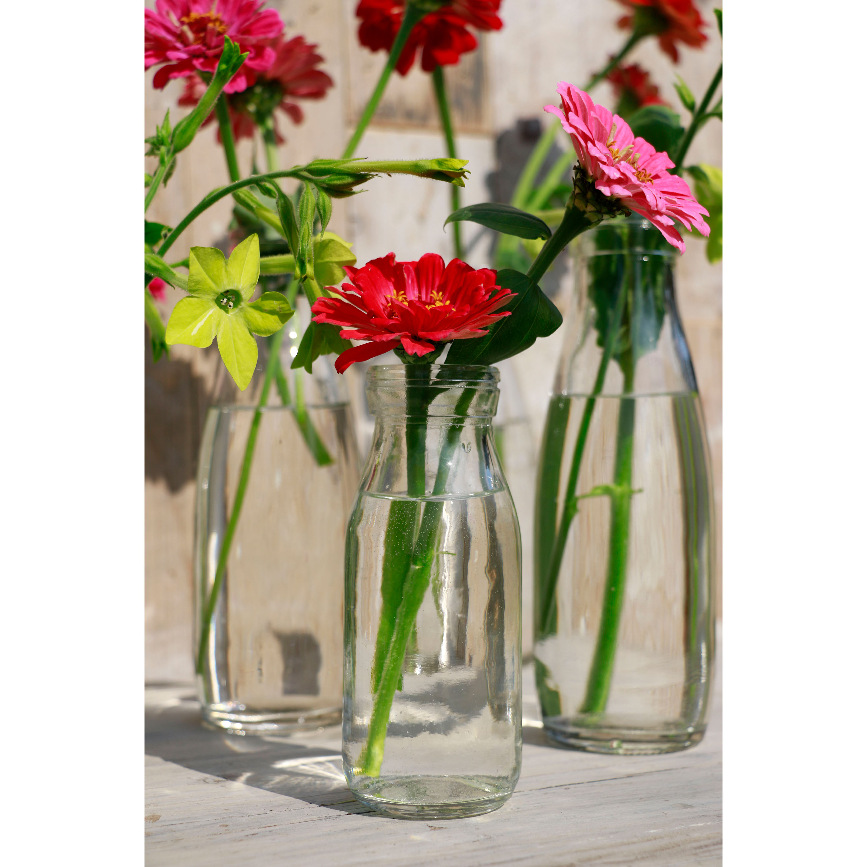 129191-129192-milk-bottle-with-flowers-30Iz9wkWanCgno