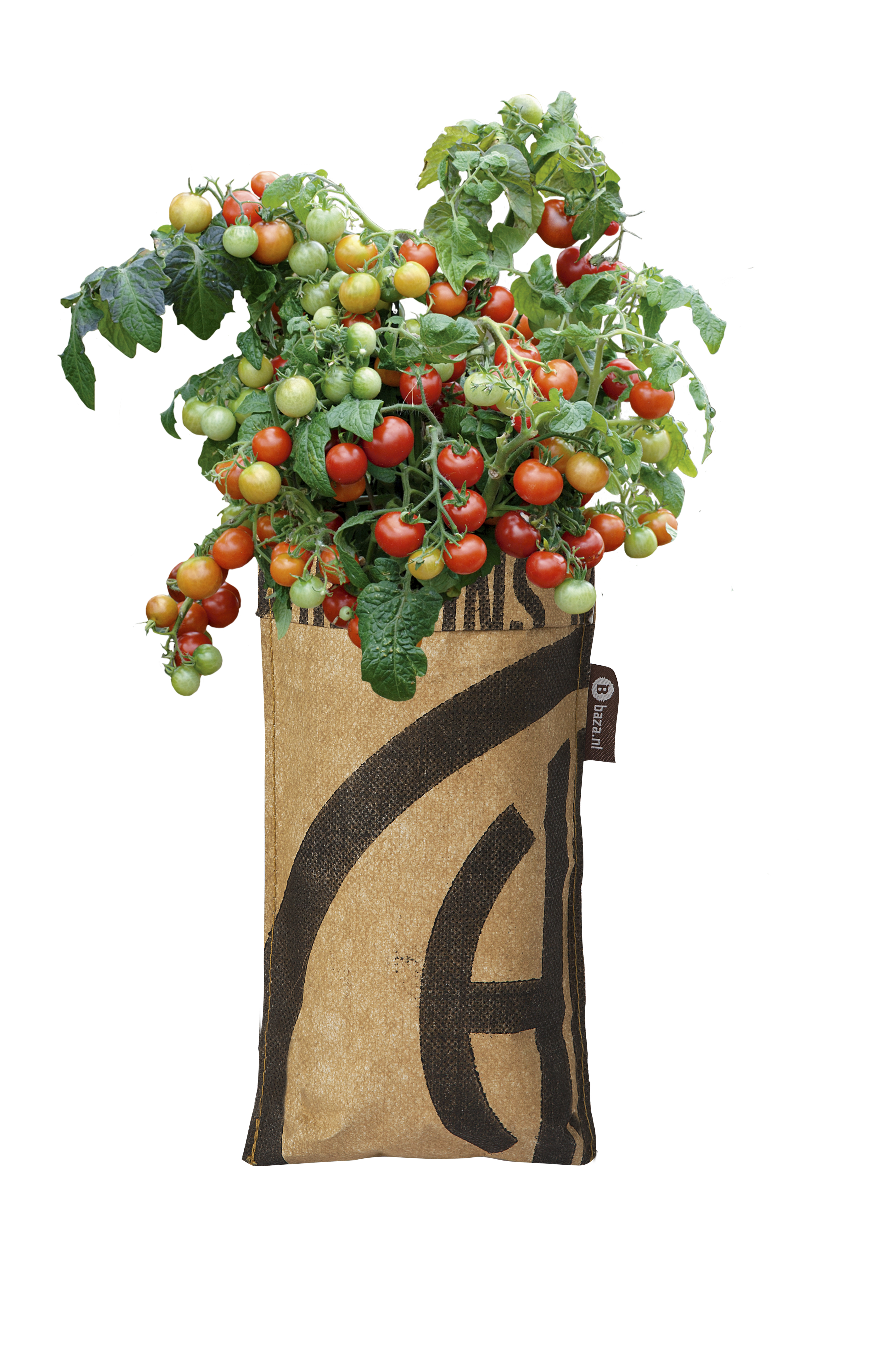 8726200171785_18017178-hangtuintje-tomaat-heartbreaker-gewas Hängende Gärten "Strauch Tomate Heartbreaker" in recyelten Teesäcken 23 x 12 cm (H/B)