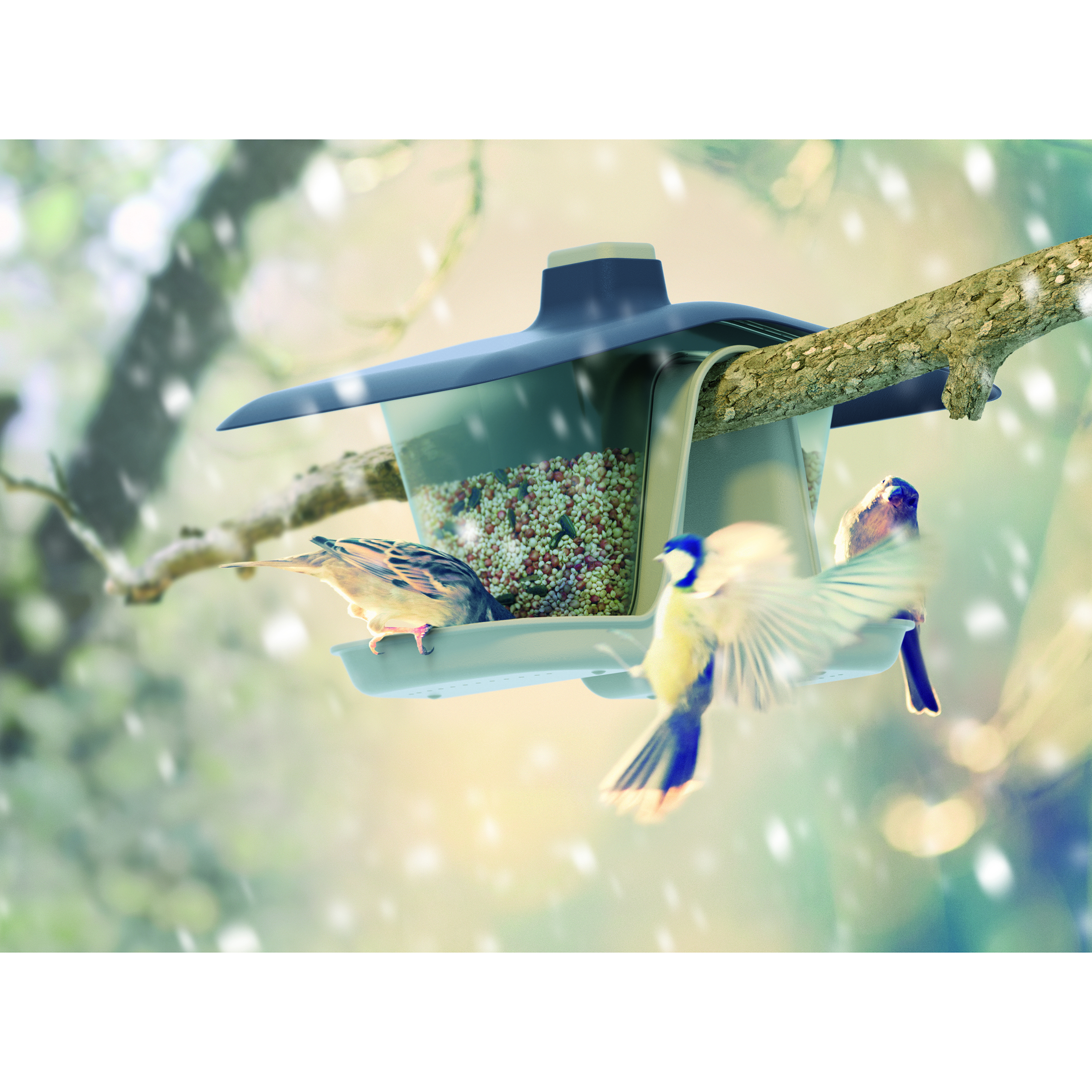 IBFD_Birdyfeed_double_aranz_05-Kopie