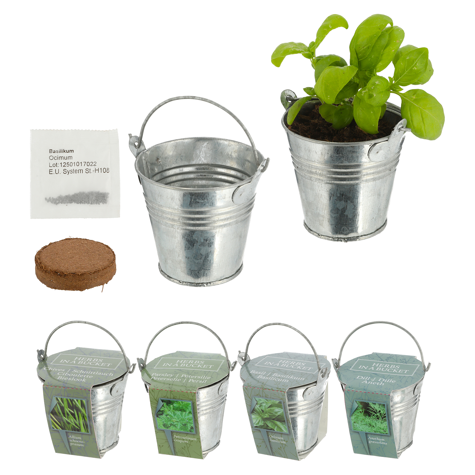69489n9kZib9ELGr65 Kräutergarten - Zinkeimer Mini Anzuchset mit 4 Kräutern