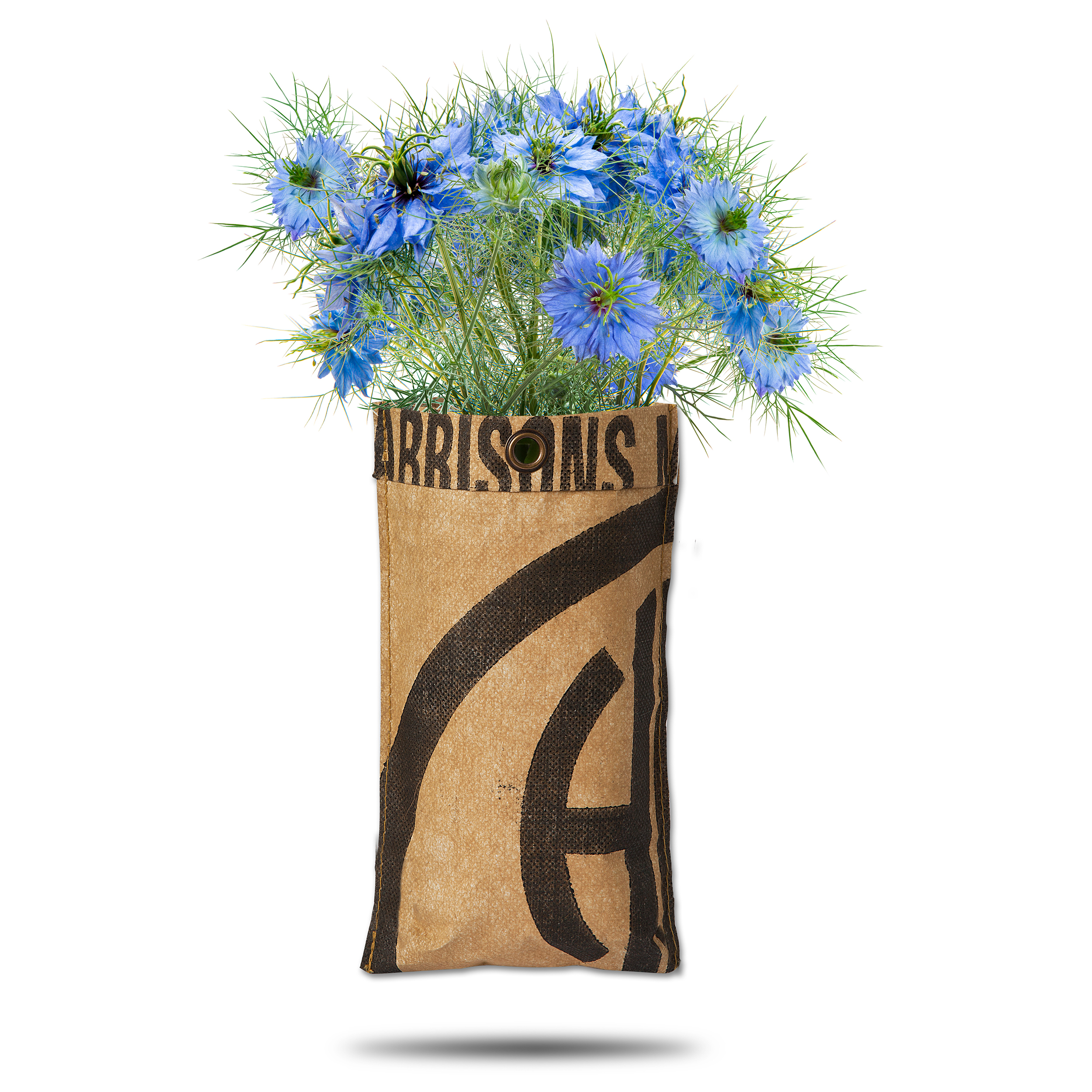 8726200171051-18017105-Hangtuin-BIO-Nigella-gewasyYPuViiLmqZ3L Hängende Gärten "Bio Nigelle" in recyceltem Teesäcken - 23 x 12 cm (H/B)