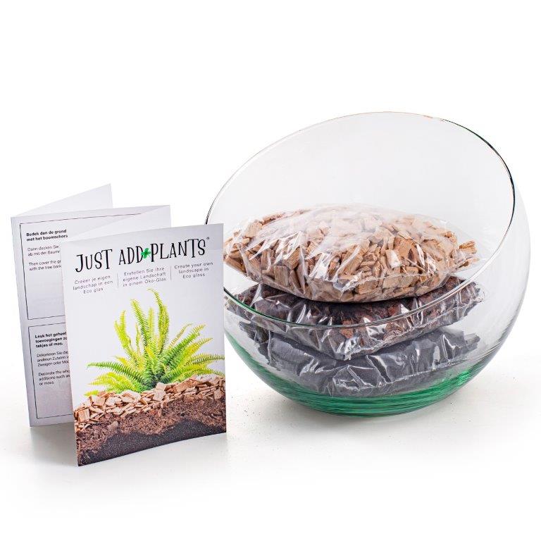 XXL Pflanzenterrarium- Nur noch Pflanze dazu - Fertig H ca. 20 cm