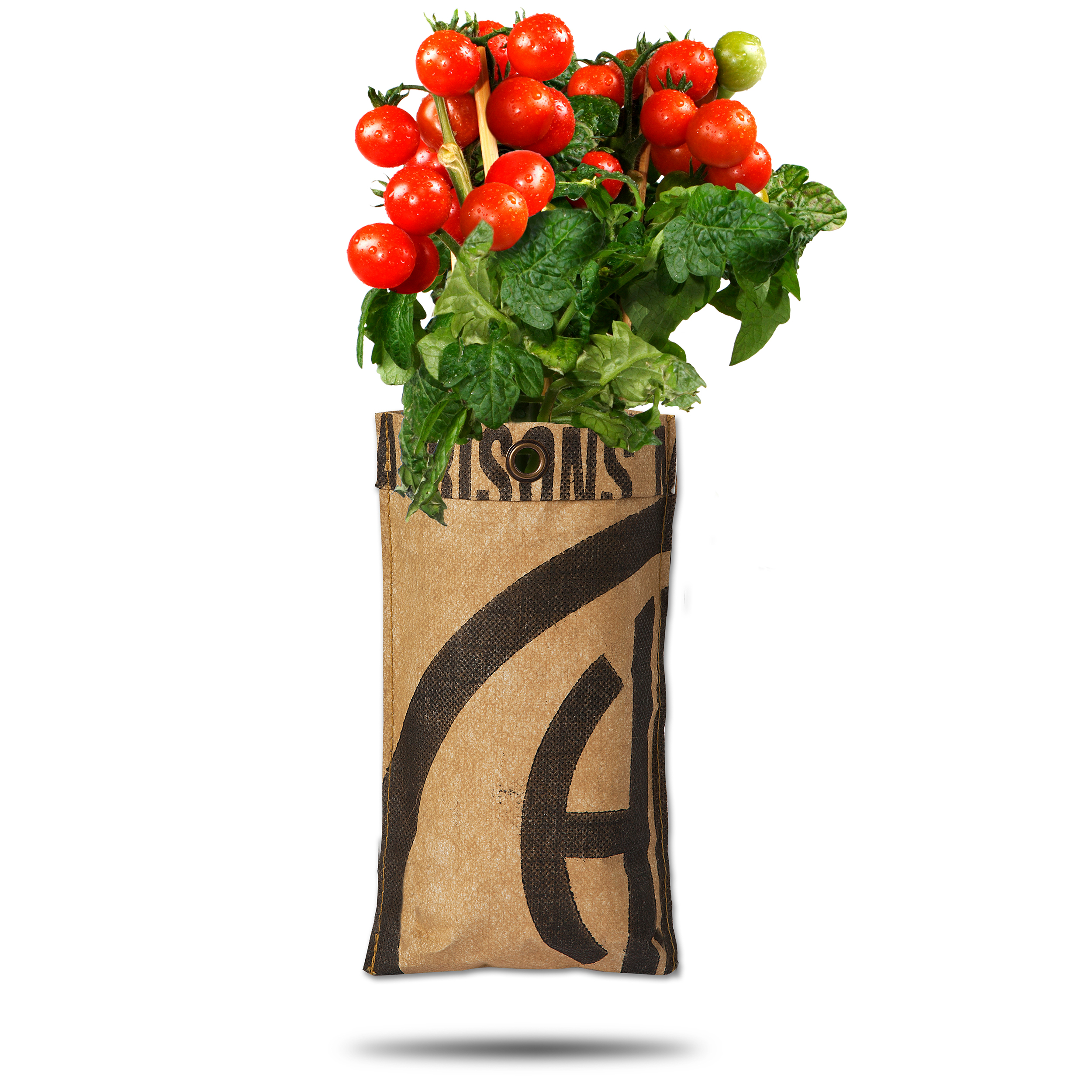 8726200171310-18017131-Hangtuin-BIO-Cherry-tomaatjes-gewas2HvuFd9UXrM8C Hängende Gärten "Bio Kirschtomaten" in recyelten Teesäcken - 23 x 12 cm (H/B)