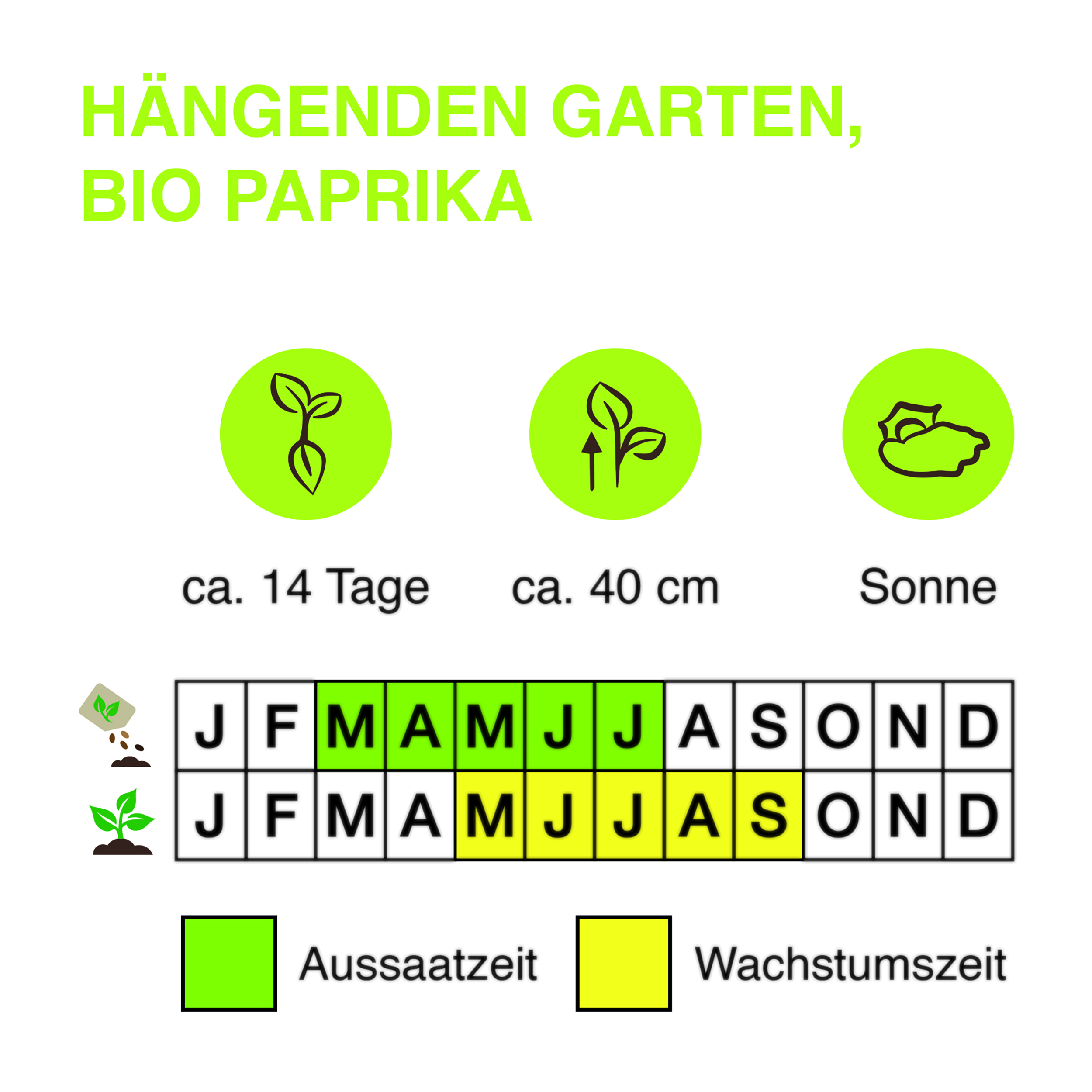 Ha-ngenden-Garten-BIO-Paprika-Kopie