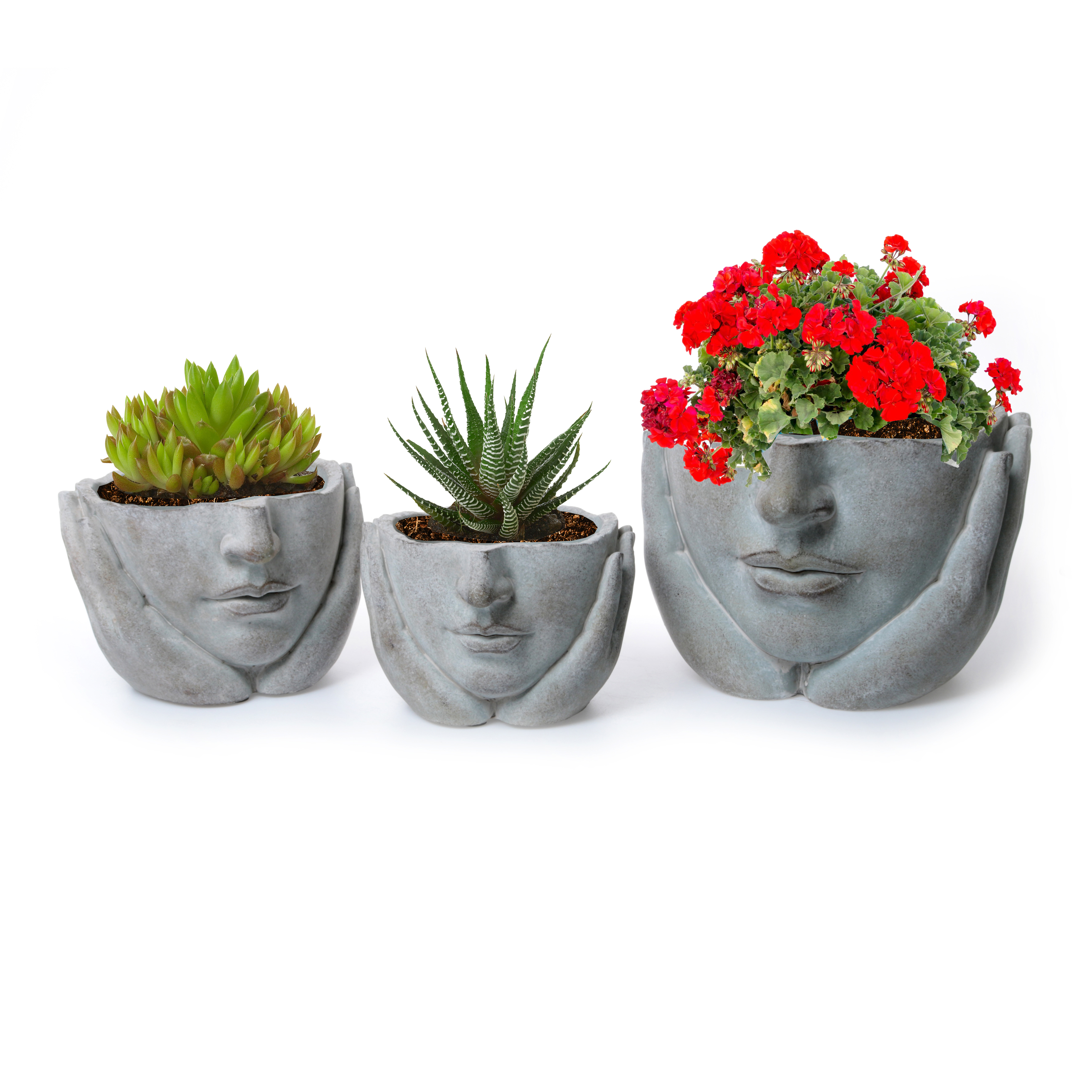 90839-mit-Blume-90840-90841JwDY87jaLzCTL