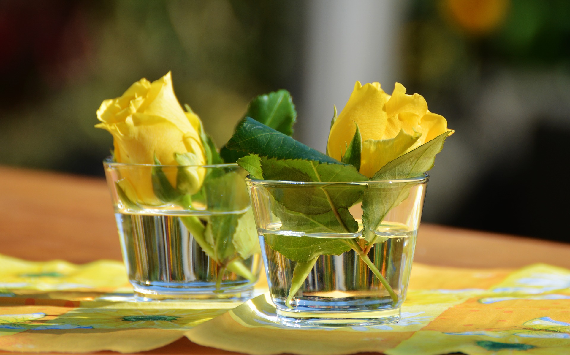 glass-1659096_1920