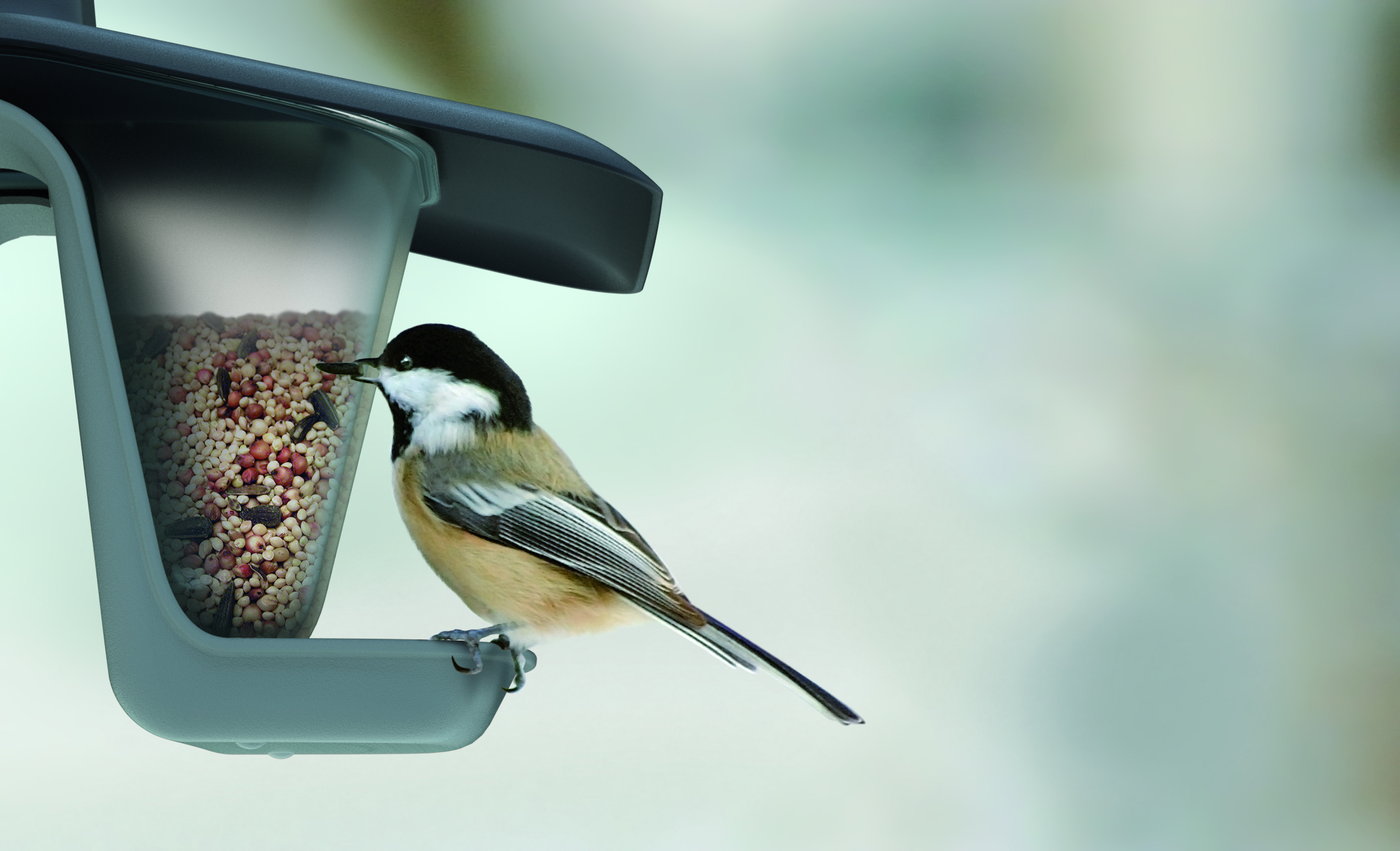 IBFD_Birdyfeed_double_aranz_03