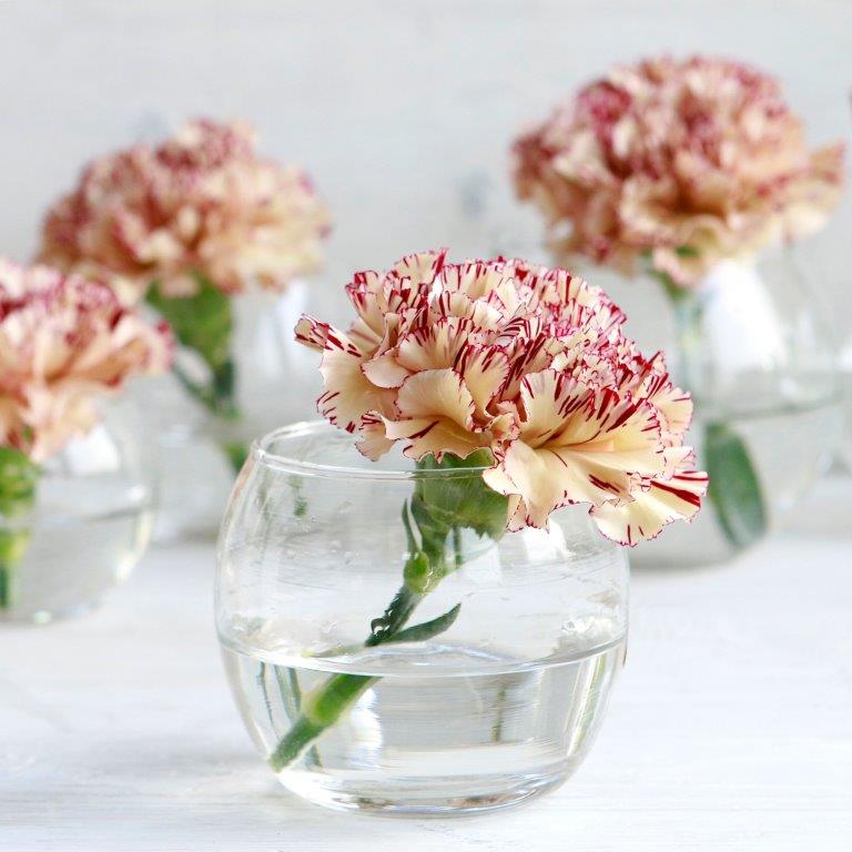 29180-29181-29182-29183-glass-ball-pot-ambience-6-Kopie