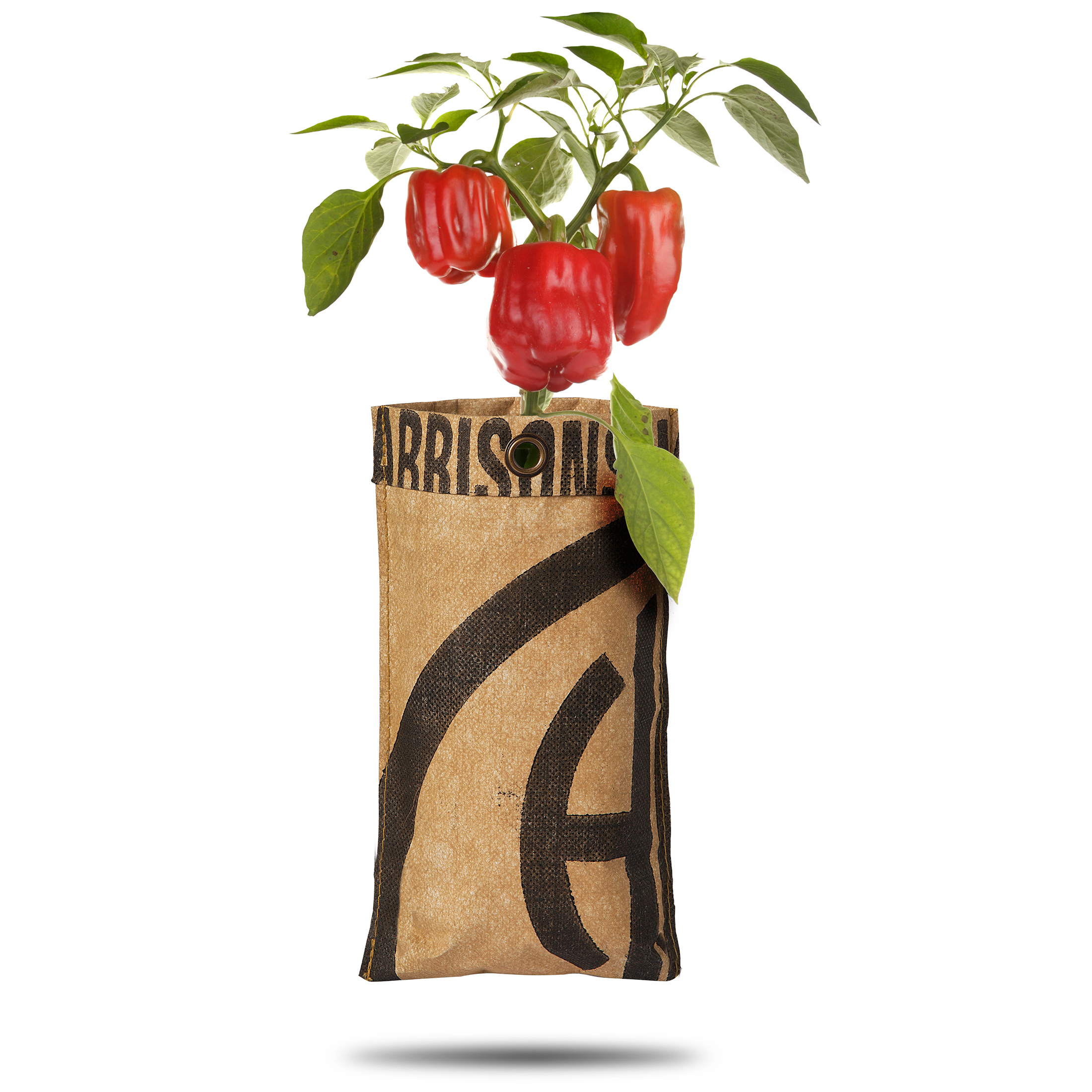 8726200171556-18017155-Hangtuin-BIO-Paprika Hängende Gärten "Bio Paprika" in recyelten Teesäcken - 23 x 12 cm (H/B)