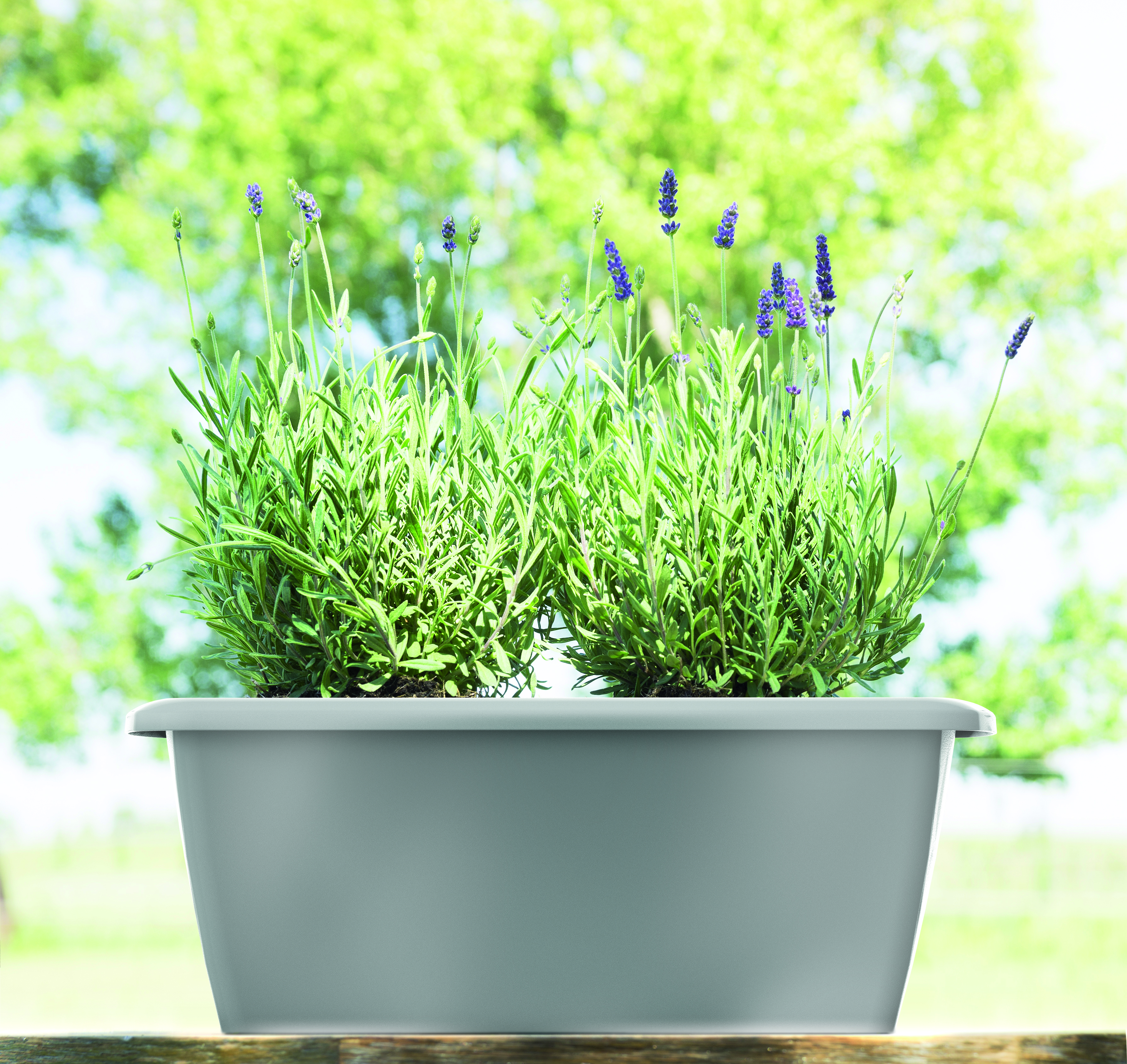 2er Set Aufhängung/Anthrazit