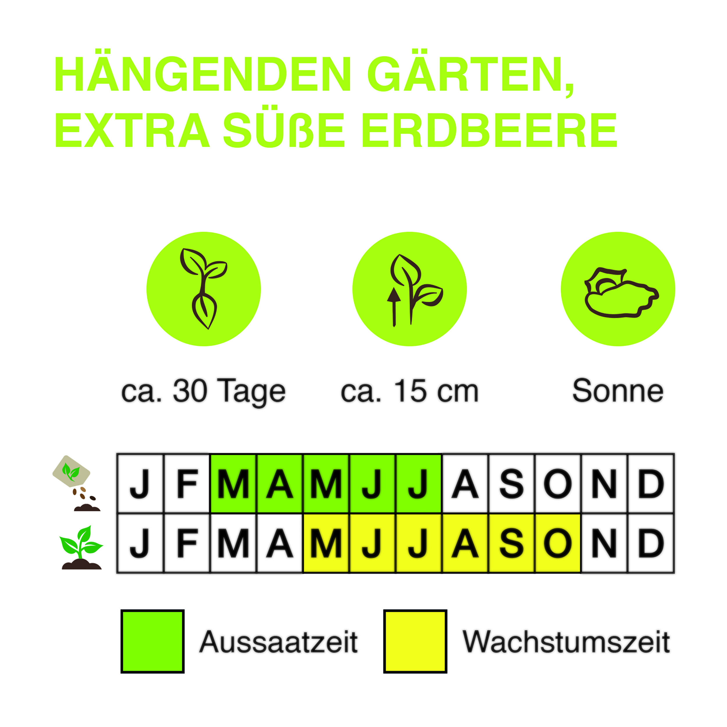 Ha-ngenden-Ga-rten-extra-su-sse-Erdbeere-Kopie