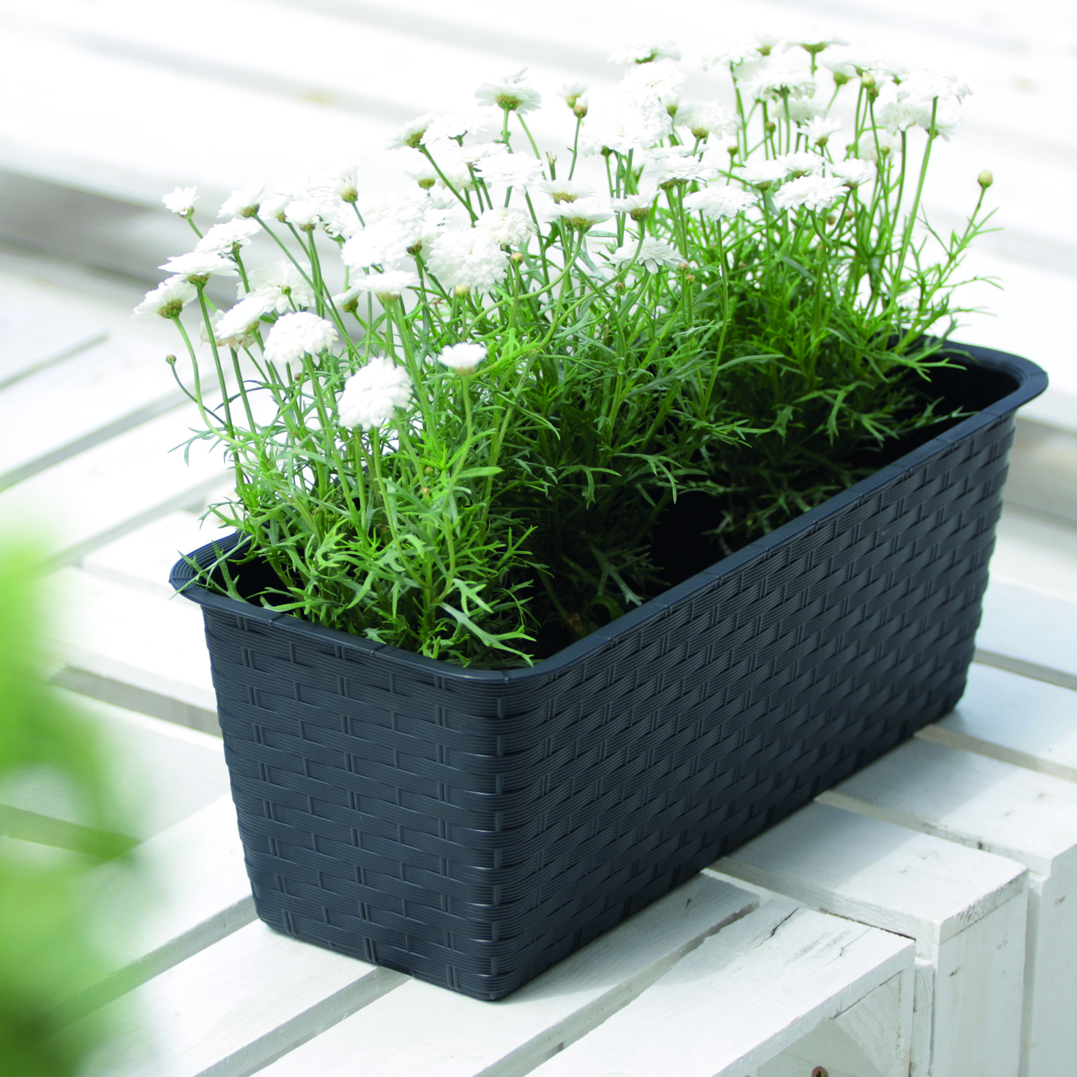 DRL_P_ratolla_aranz_03-Kopie Blumenkasten aus Kunststoff - wetterfest - Modell Ratolla Set