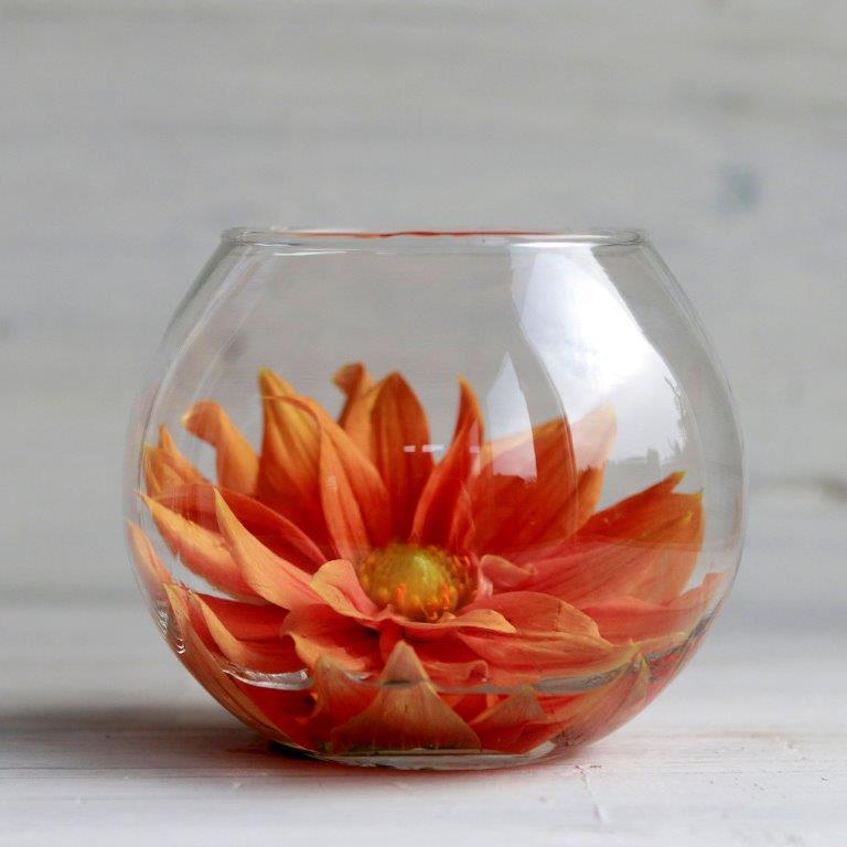 29180-29181-29182-29183-glass-ball-pot-ambience-17-Kopie