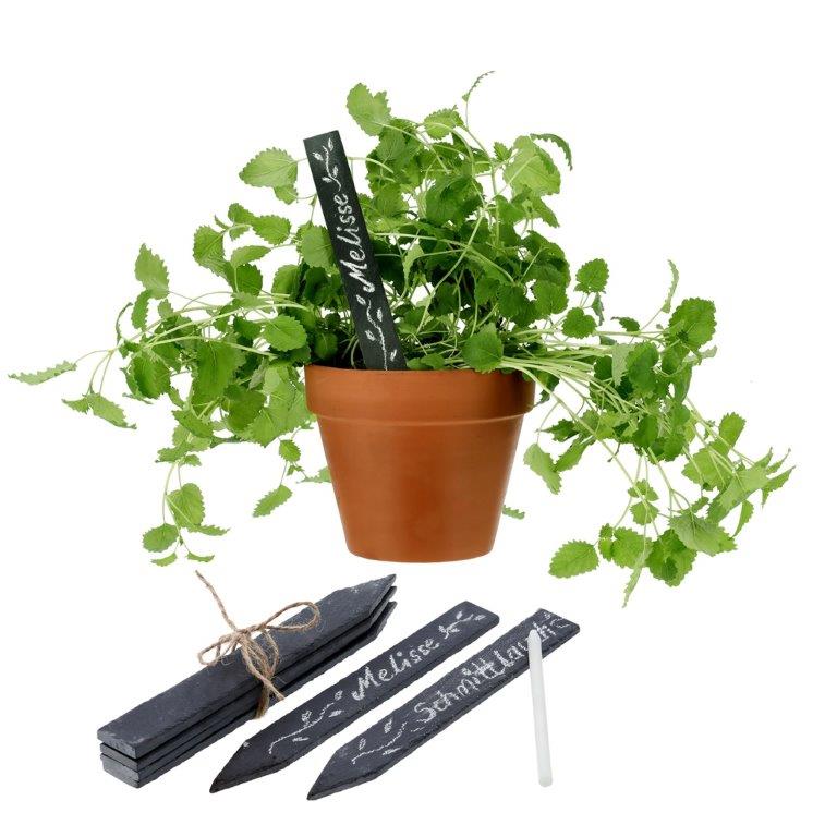 53366_ 12 x Pflanzenschilder aus Schiefer L 14 cm - Kräuterstecker zum Beschriften