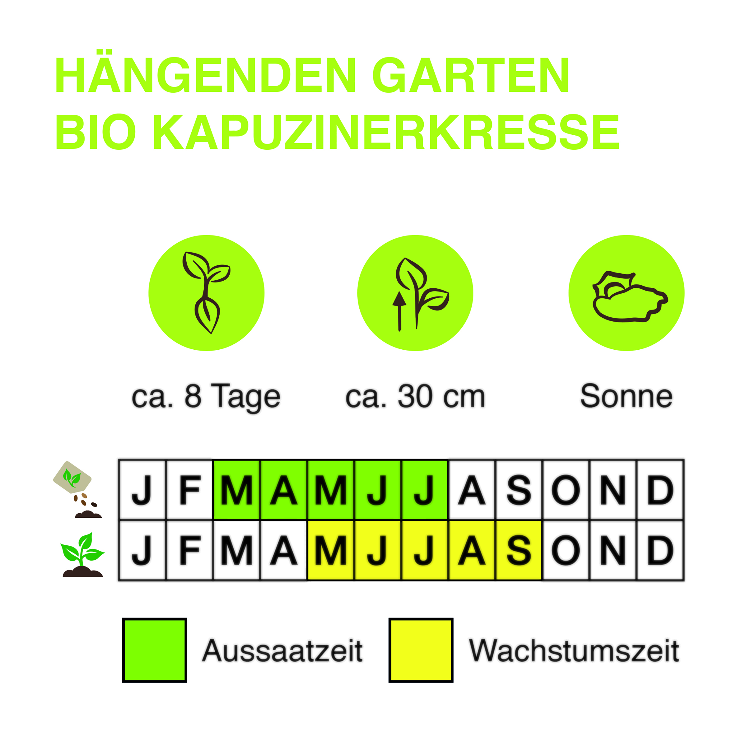 Ha-ngenden-Garten-BIO-Kapuzinerkresse-Kopie