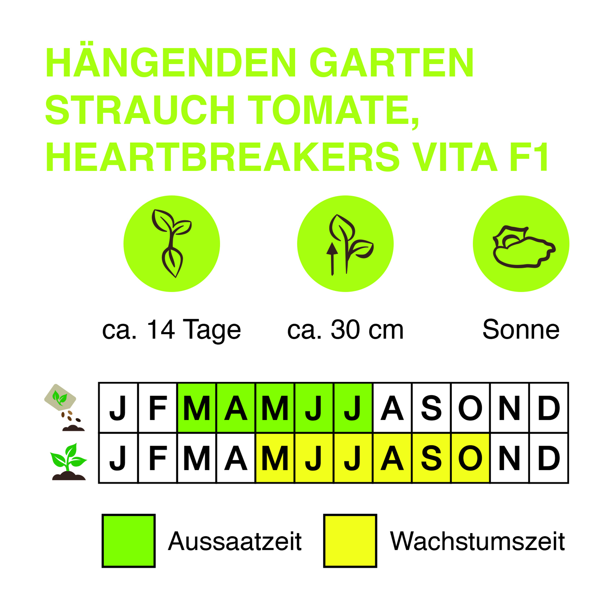 Ha-ngenden-Garten-Strauch-Tomate-Heartbreakers-Vita-F1-Kopie