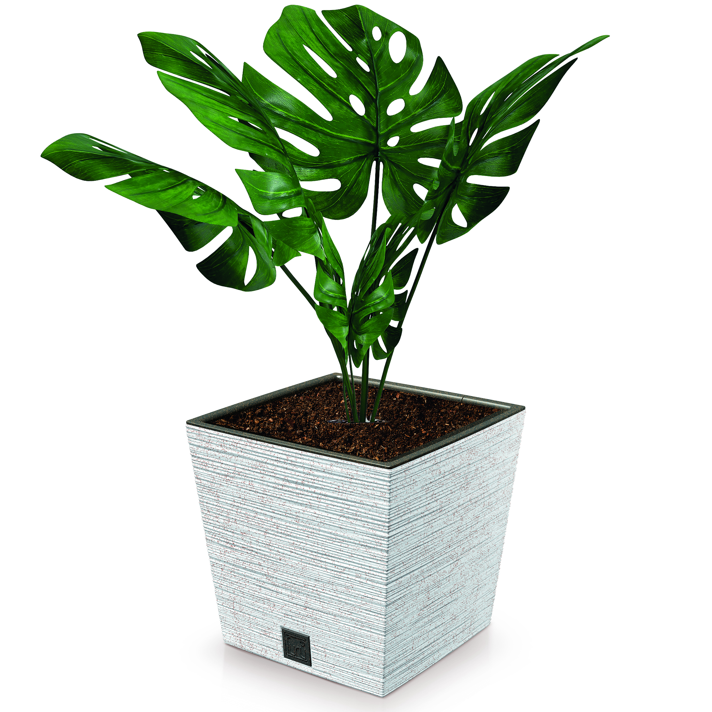 DFS240W_S449W_mit-Blume
