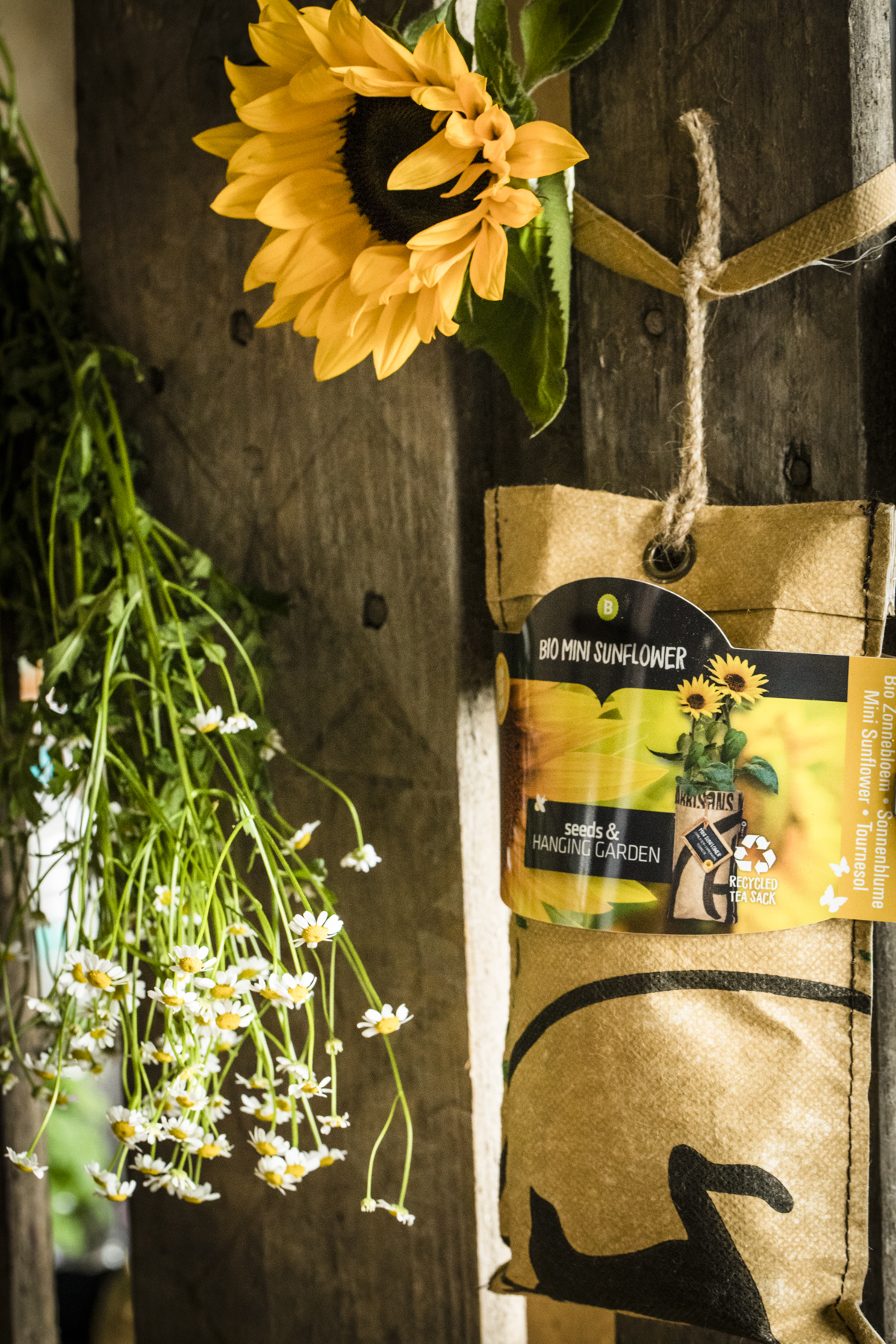 18017109-Hanging-Garden-BIO-Zonnebloem-sfeerbeeld2